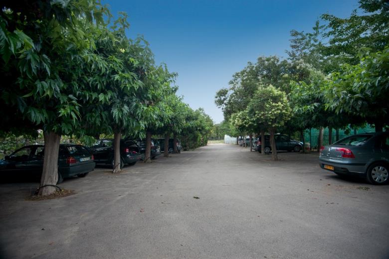 parking_21