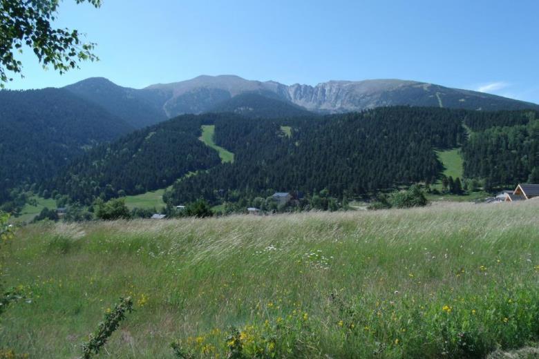Photo_4_17