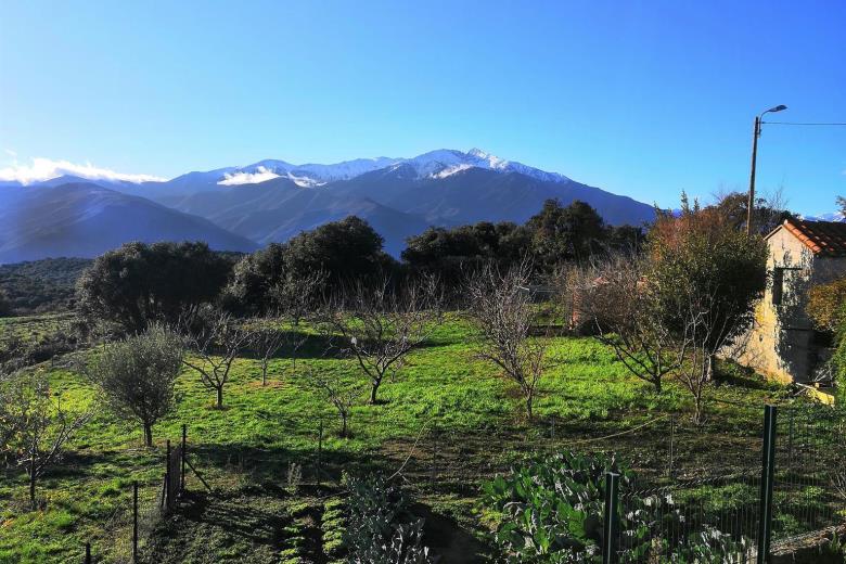 paysage autour du mas vue sur mont Canigou_13