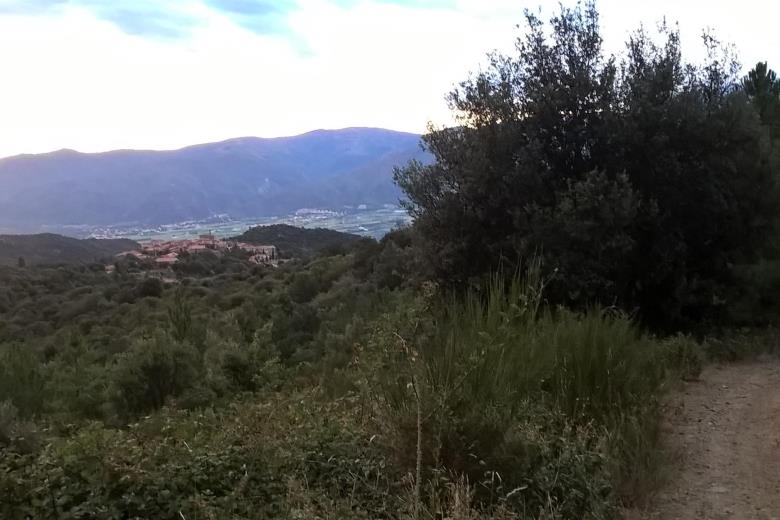 Arboussols en été_13