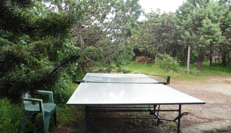 Au jardin : la table de ping-pong_15
