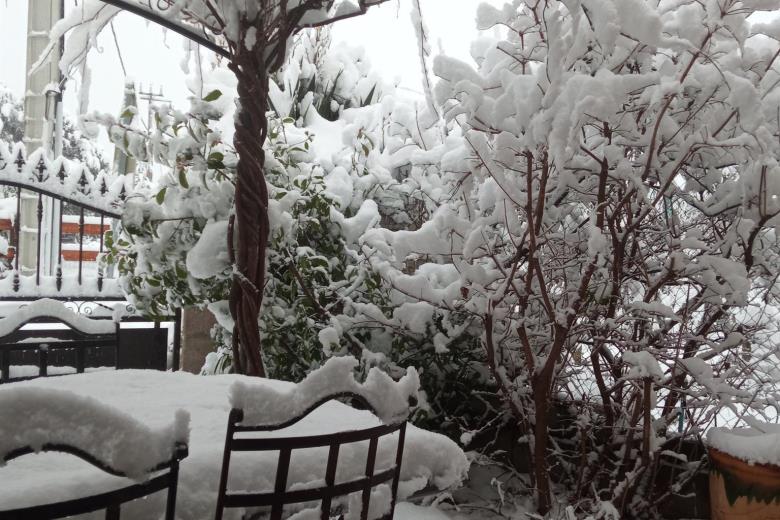 La cour sous la neige_11