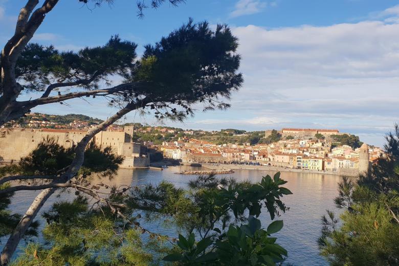 Collioure Hiver_19