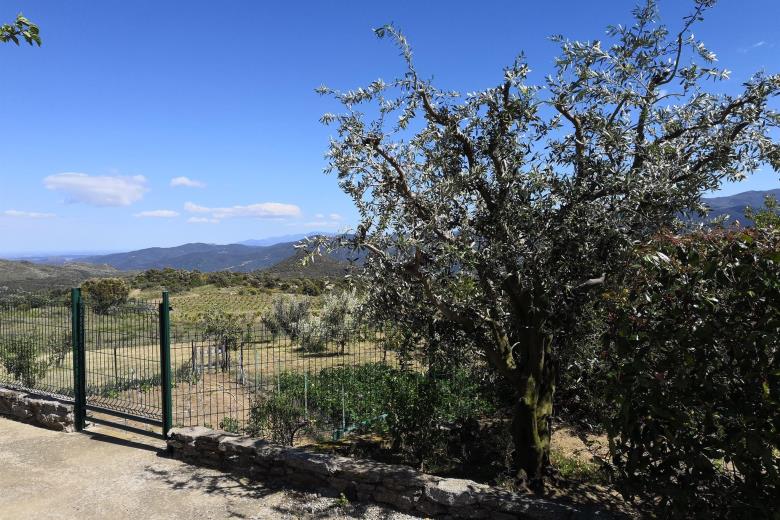 paysage devant gîte_12