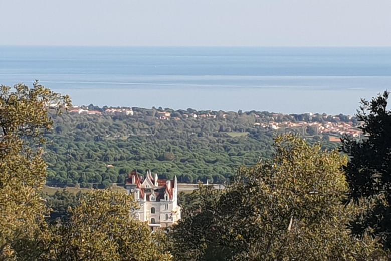 Château Valmy vu des Albères_18