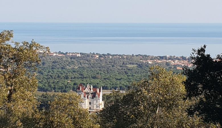 Château Valmy vu des Albères_18