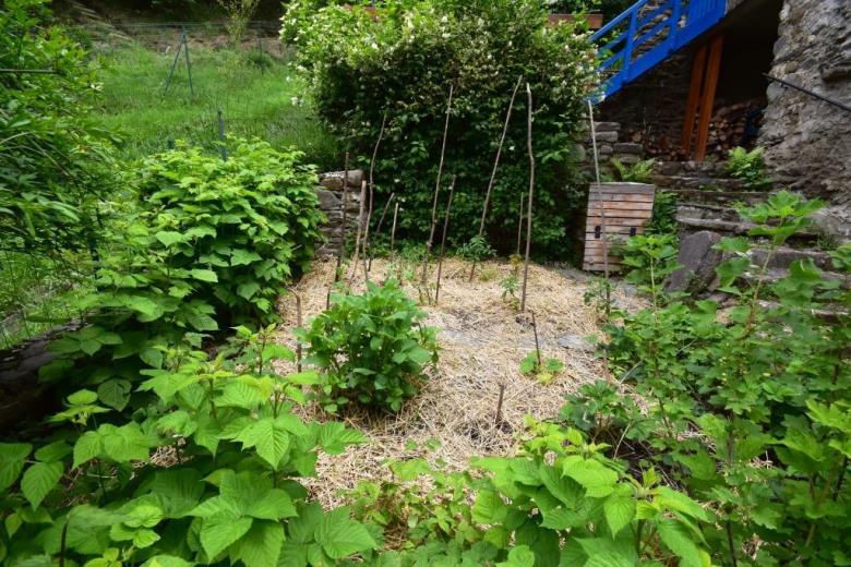 Potager_3