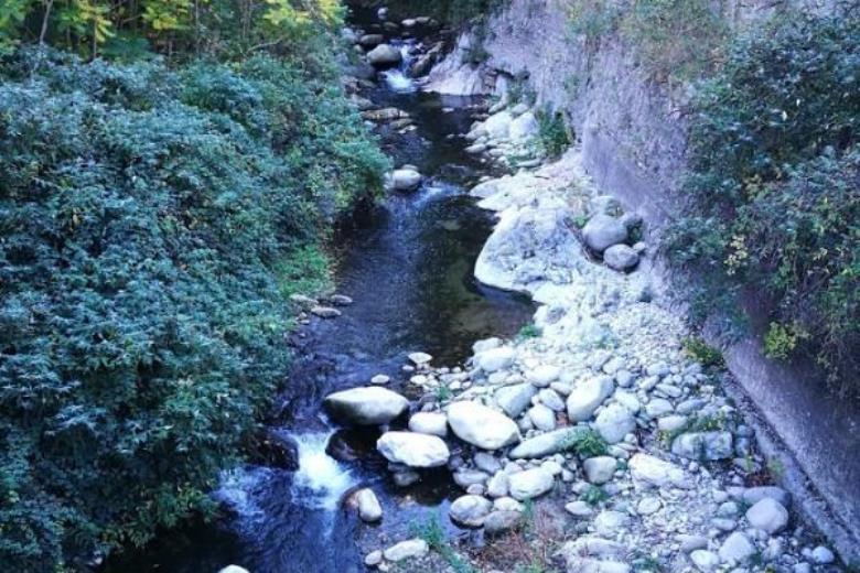 Photo_14_18