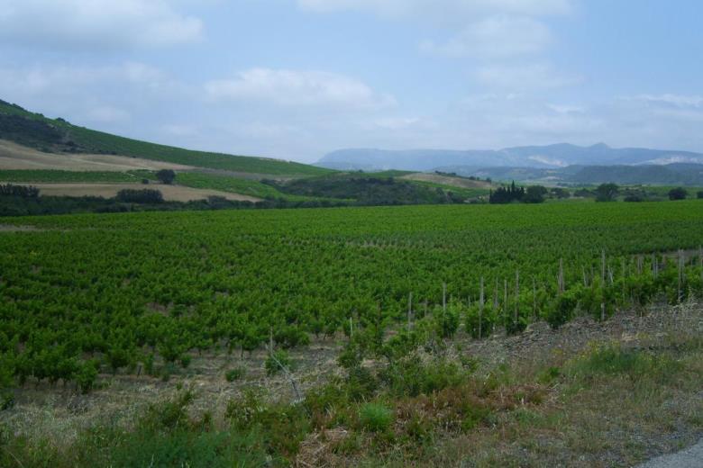 Photo_3_22