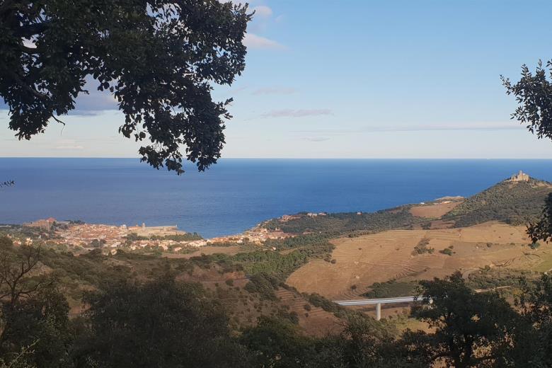 Vue du Macif des Albères 2_17