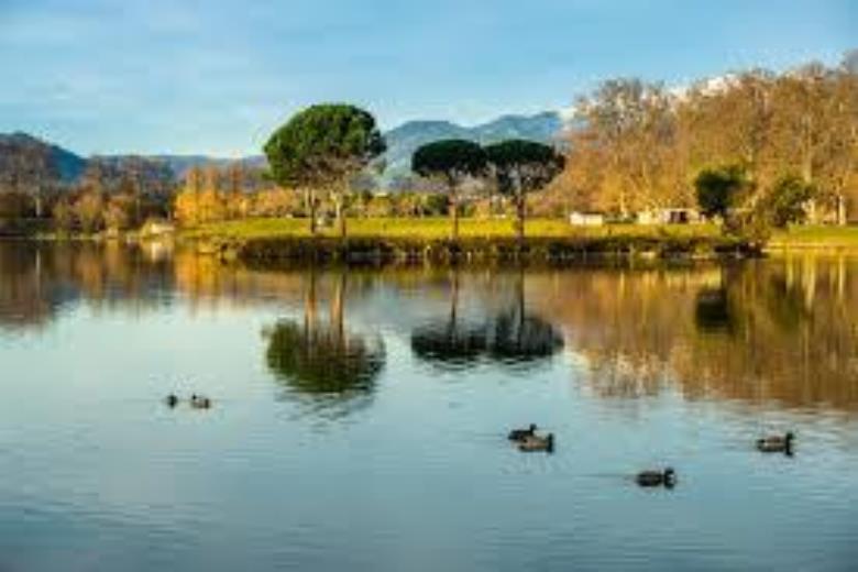images_14