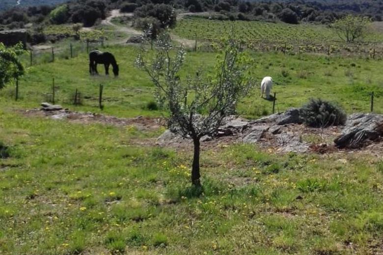 vue devant le gîte_51