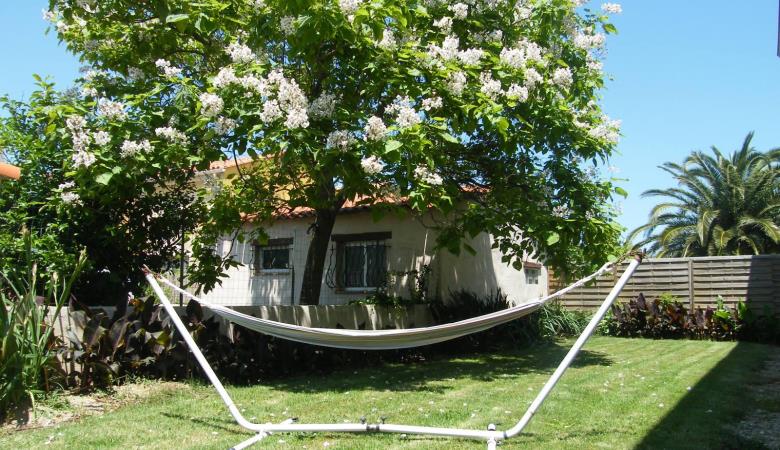 hamac sur pelouse_15