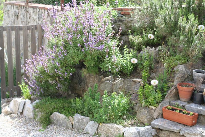 notre jardin aromatique_22