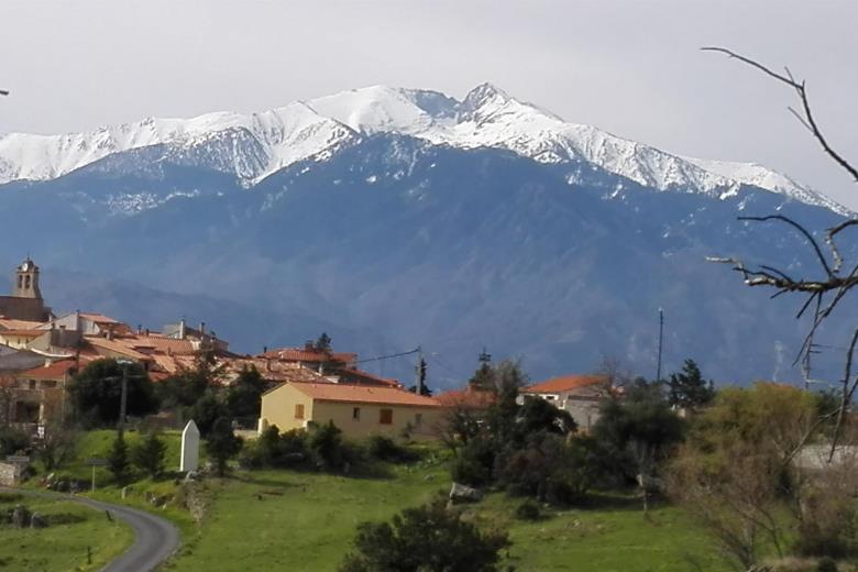 Arboussols avec le canigou_17