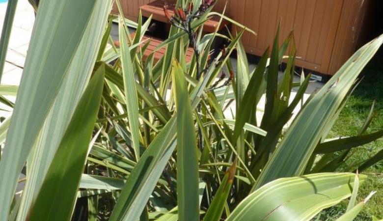 Photo_4_8