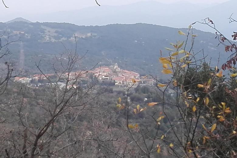Photo_13_67