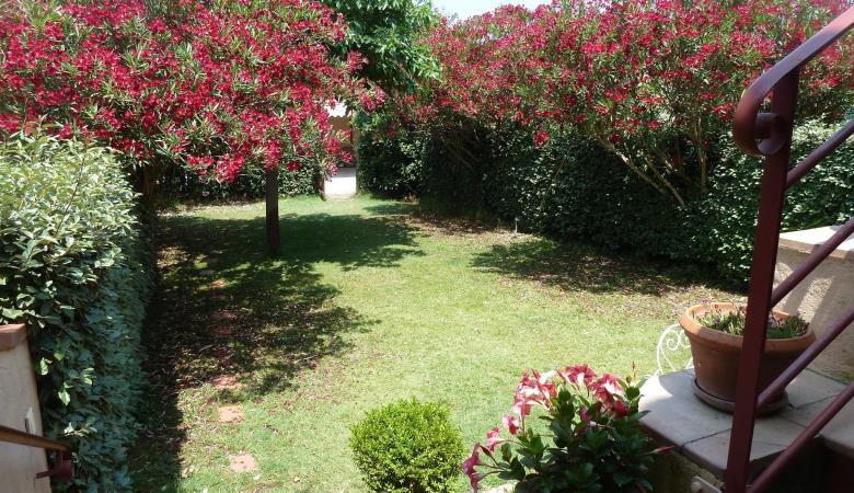 gîte Madeloc, St Cyprien 66750. Jardin fleuri._5