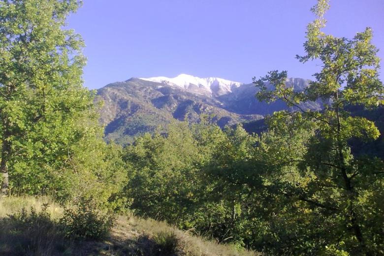 Photo_10_15