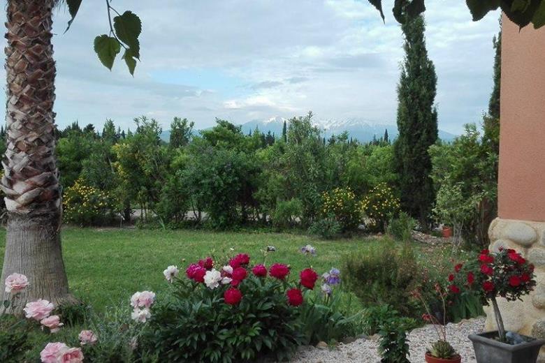 Canigou vue depuis la terrasse_66G219502_10