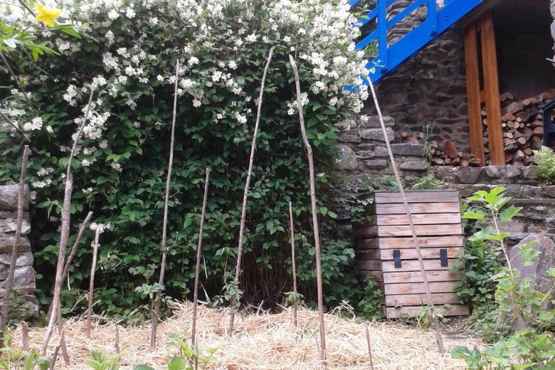 Potager du gîte au printemps_16