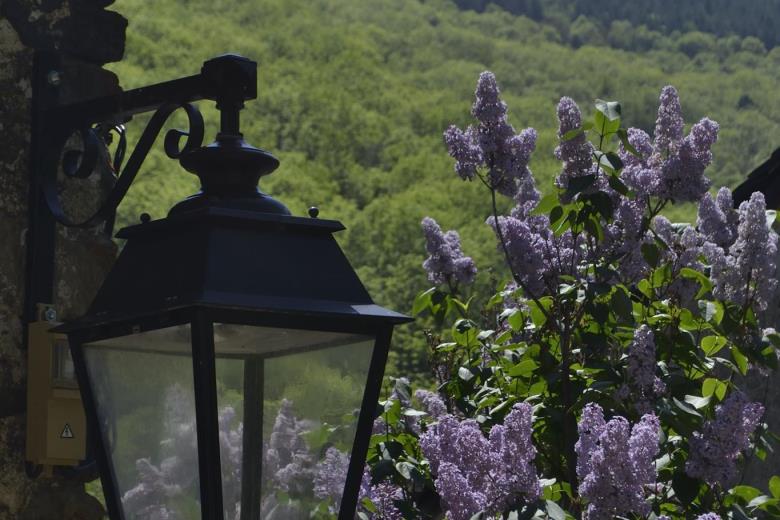 Lilas et lampadaire_25