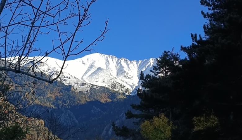 image0 (1)