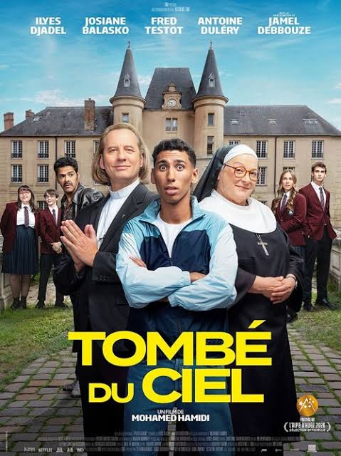 Bulles culturelles - cinéma "tombé du ciel"