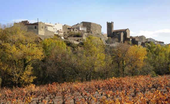 la_tour_de_france_vignes_et_village