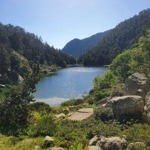 LAC DE LA BALMETTE