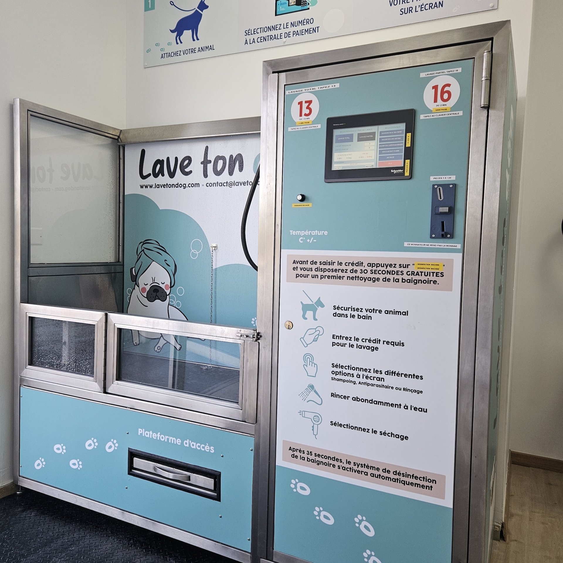LAVE TON DOG