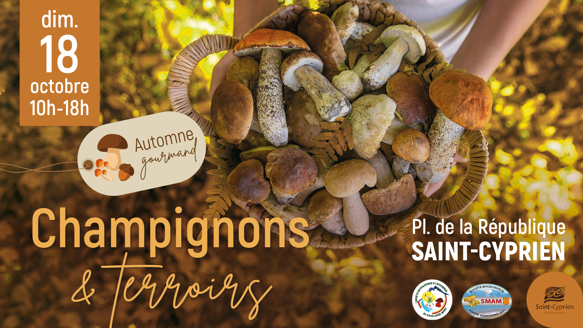 AUTOMNE GOURMAND : CHAMPIGNONS ET TERROIRS