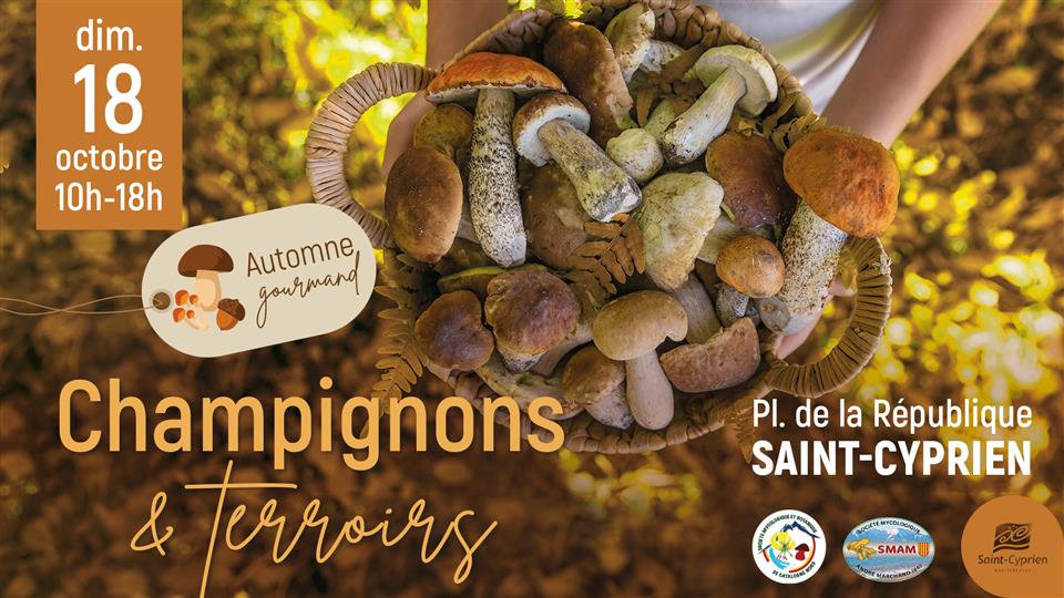 Automne gourmand: Champignons et terroirs