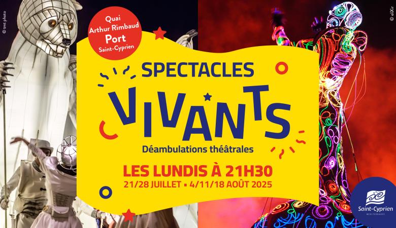lcd_spectacles