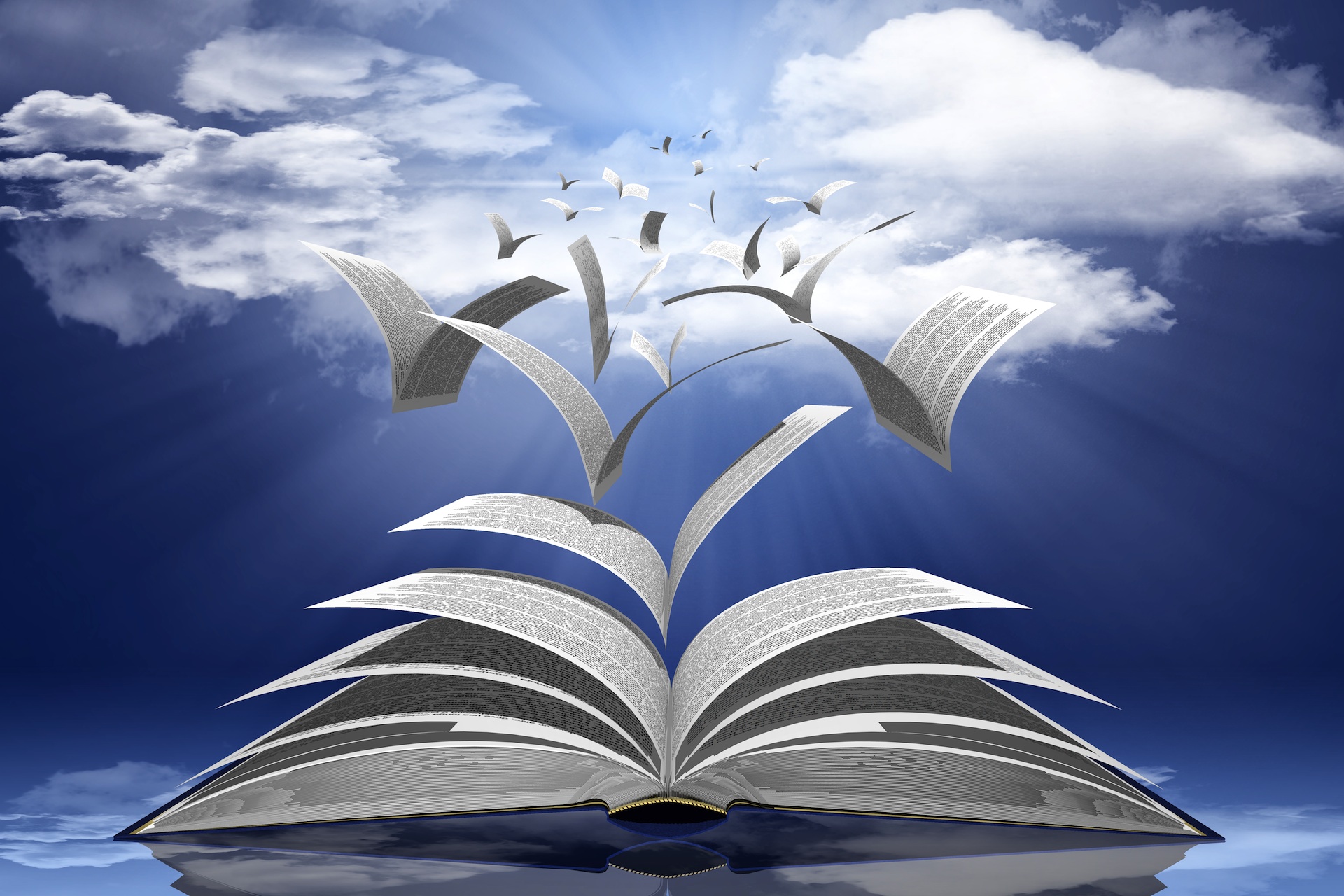 SALON DU LIVRE
