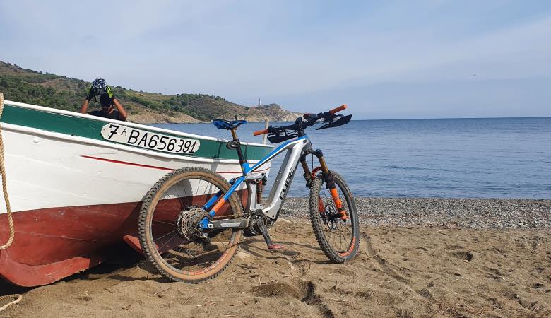 location-velo-blue-bear