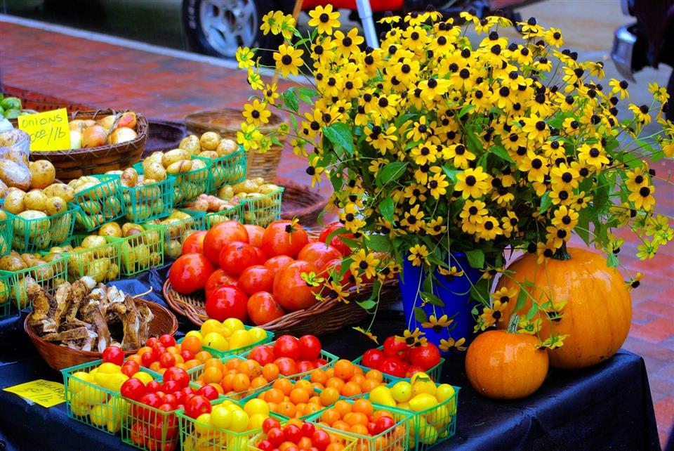 Marche hebdomadaire de producteurs