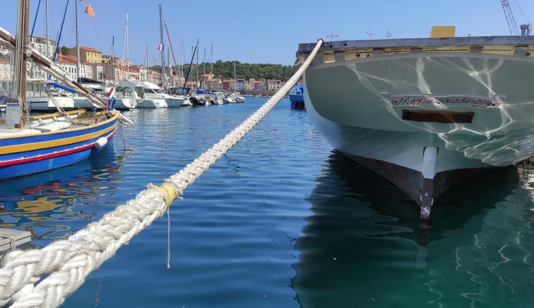 miquel_caldentey(1)