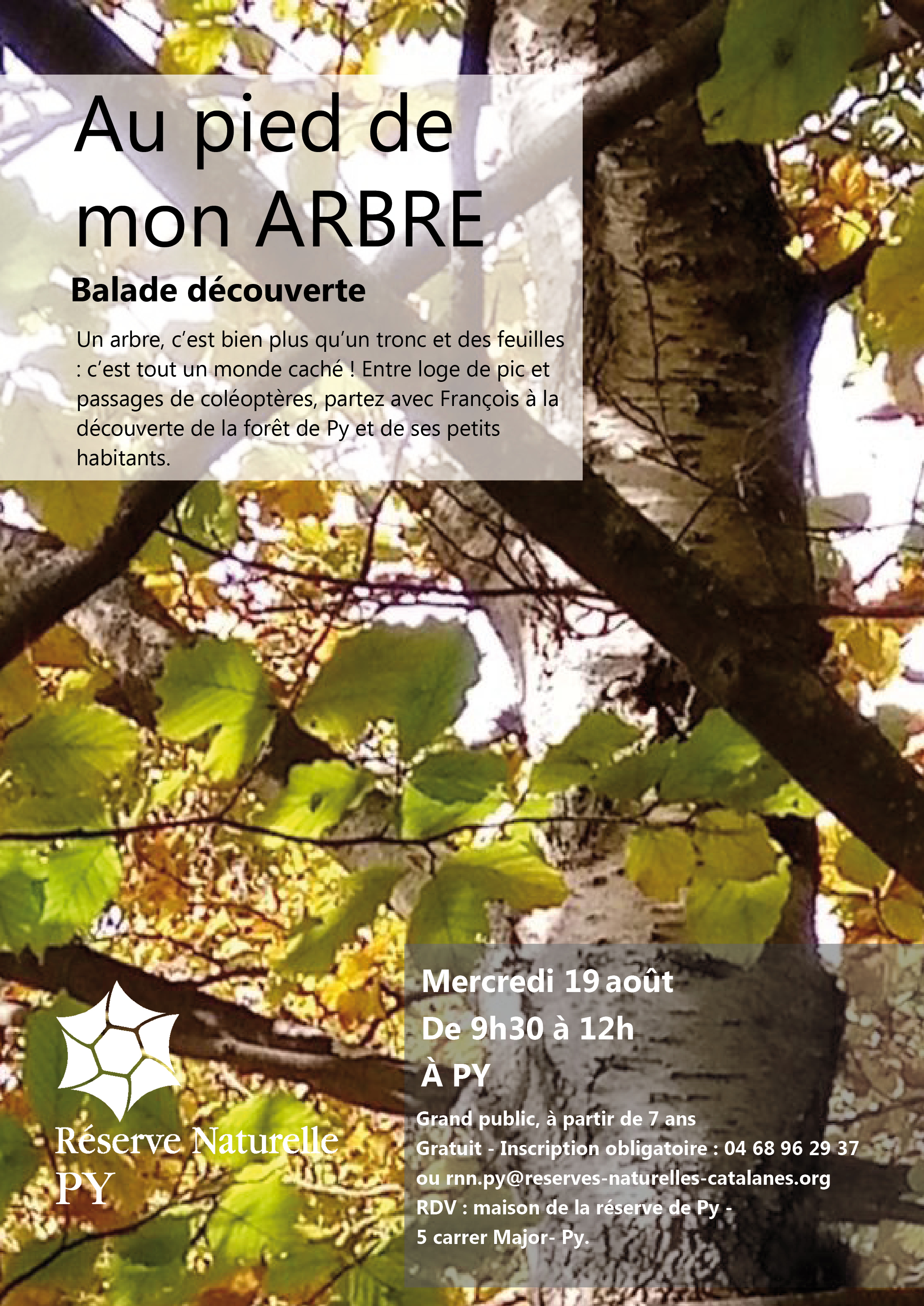 Balade découverte : Auprès de mon arbre