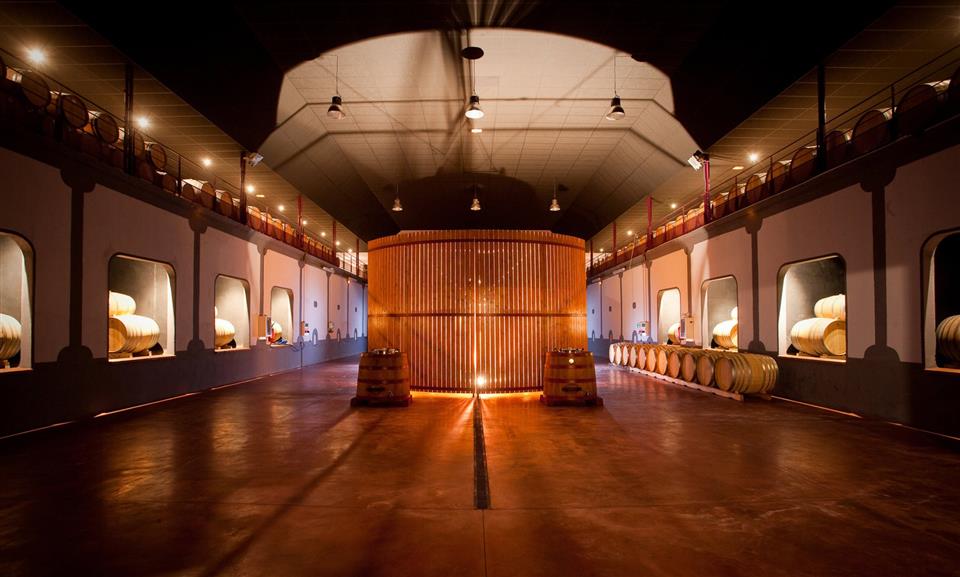 Vignobles en scene - plongee dans l’histoire de la cave de Montner avec le domaine fontanel