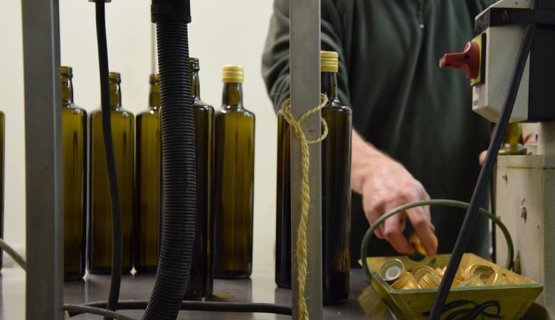 moulin-la-catalane-millas-mise-en-bouteille-huile-olive