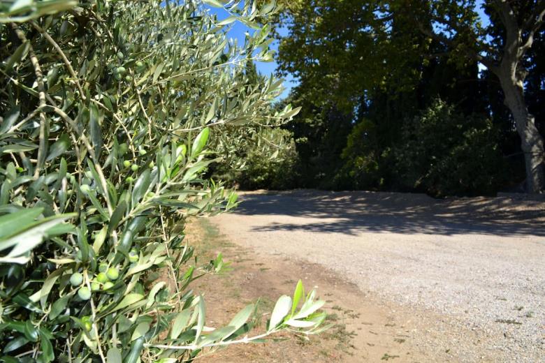 moulin-saint-pierre-entree-branche-olivier-aire-camping-car-millas-web