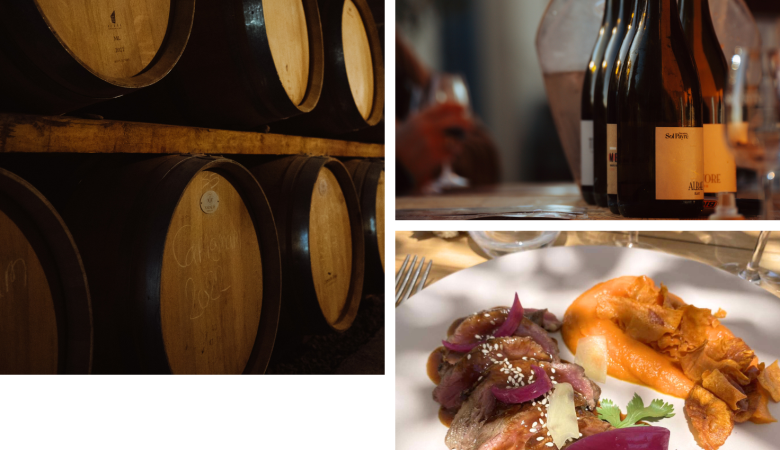 Photo site internet - oenotourisme Photo site internet - oenotourisme