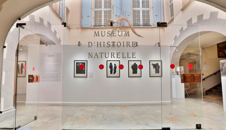Muséum d'histoire naturelle
