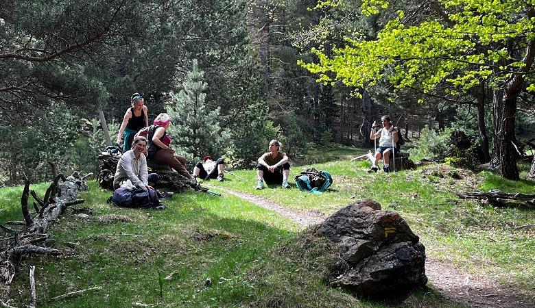 pause clairière