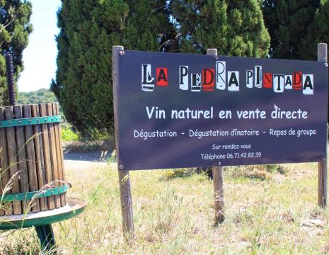 PIQUE-NIQUE À LA VIGNE AU DOMAINE LA PEDRA PINTADA