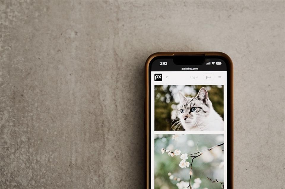 Atelier "initiation à la photo avec un smartphone"