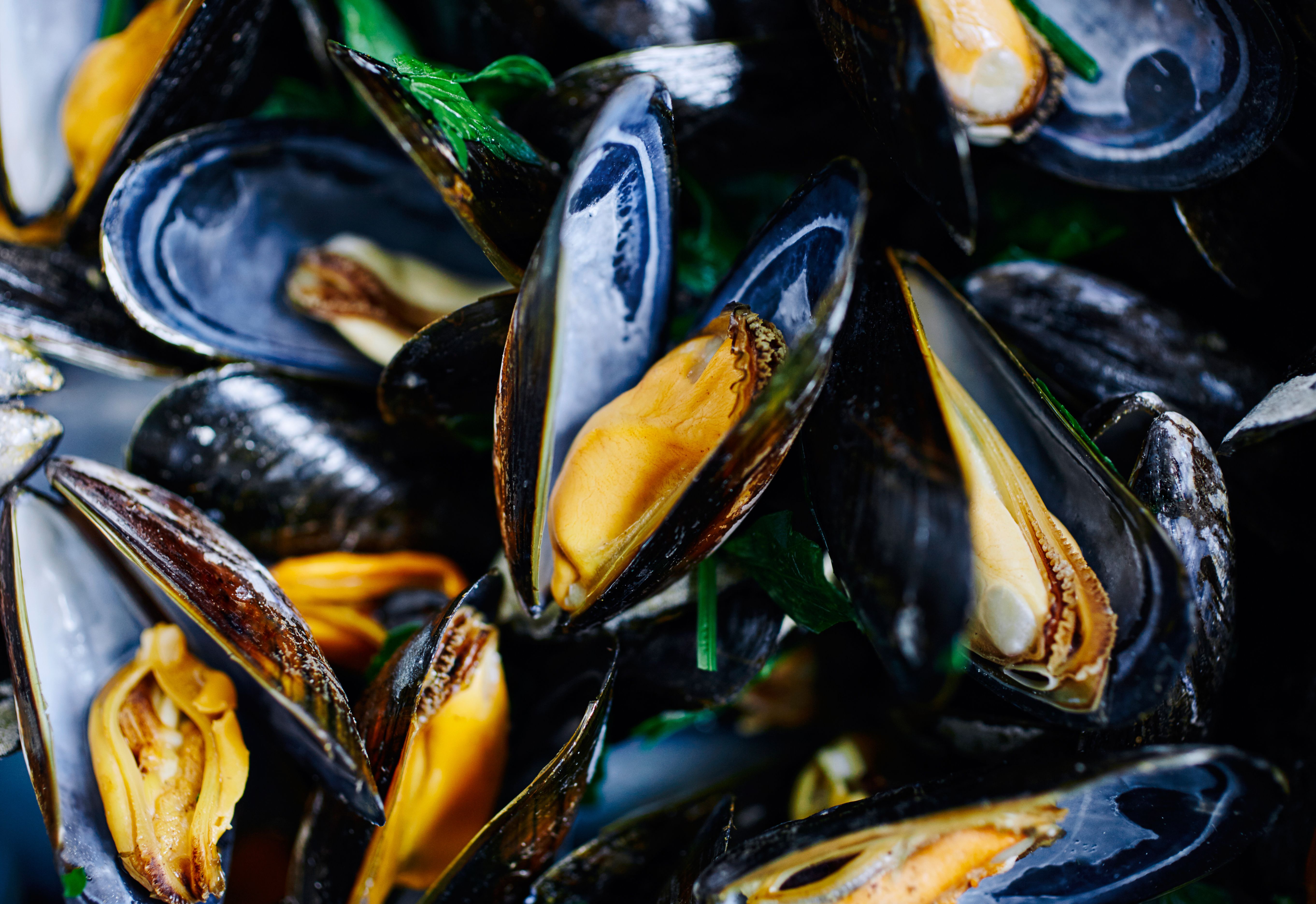 Soirée moules/frites