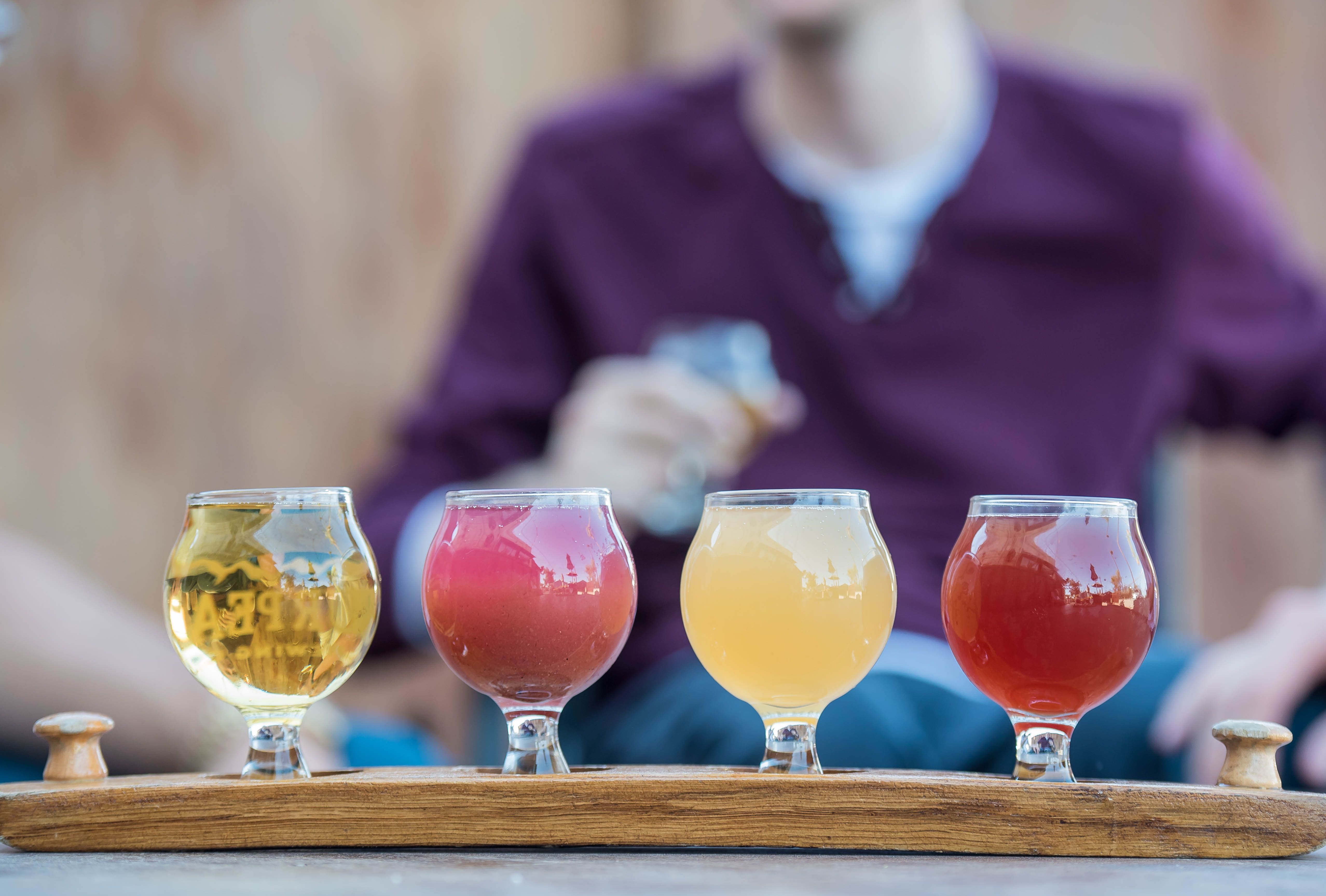 Dégustation de bières locales