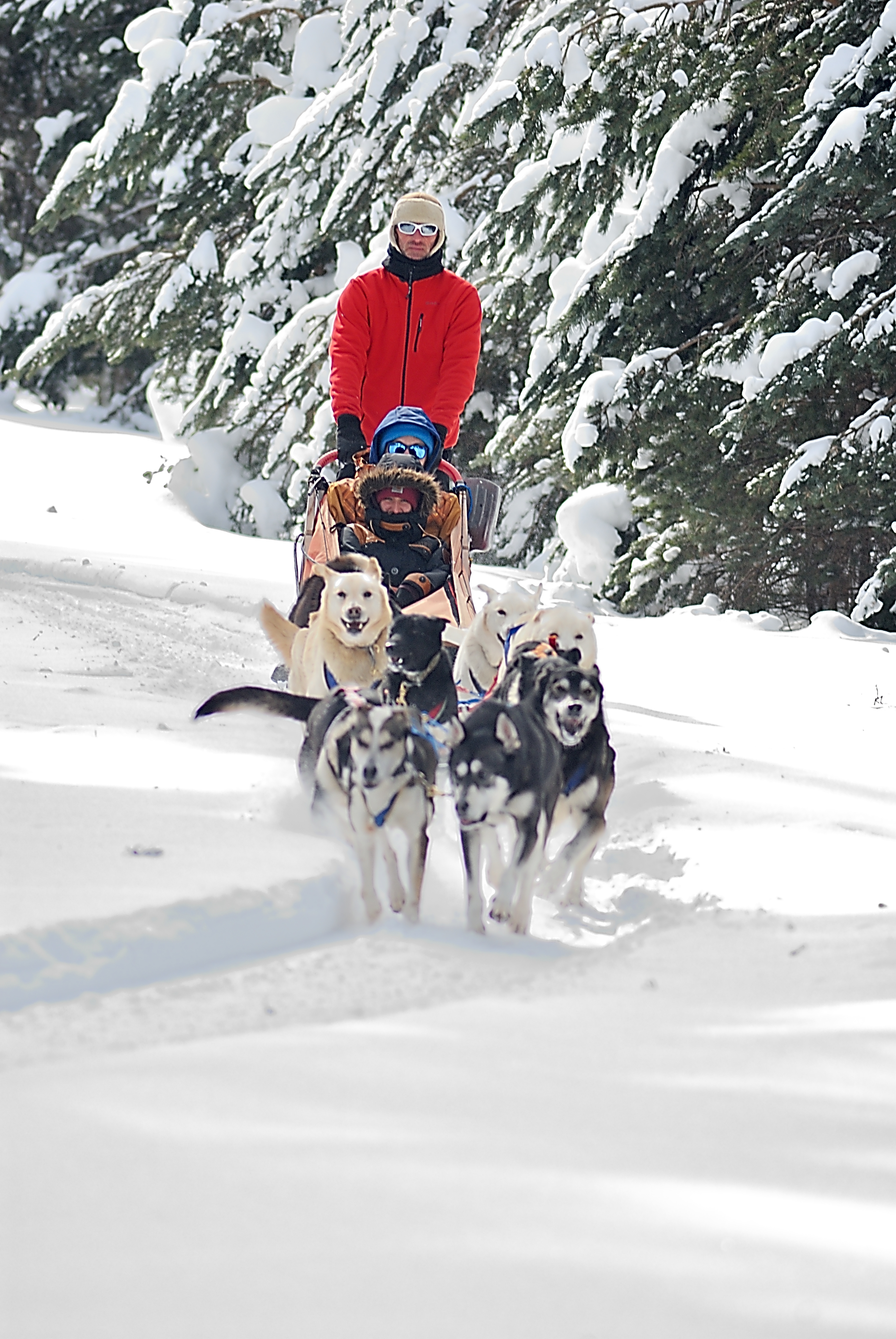 photo hiver page accueil